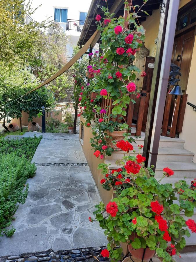 Willa Vasilion Agrotourism Polis Zewnętrze zdjęcie