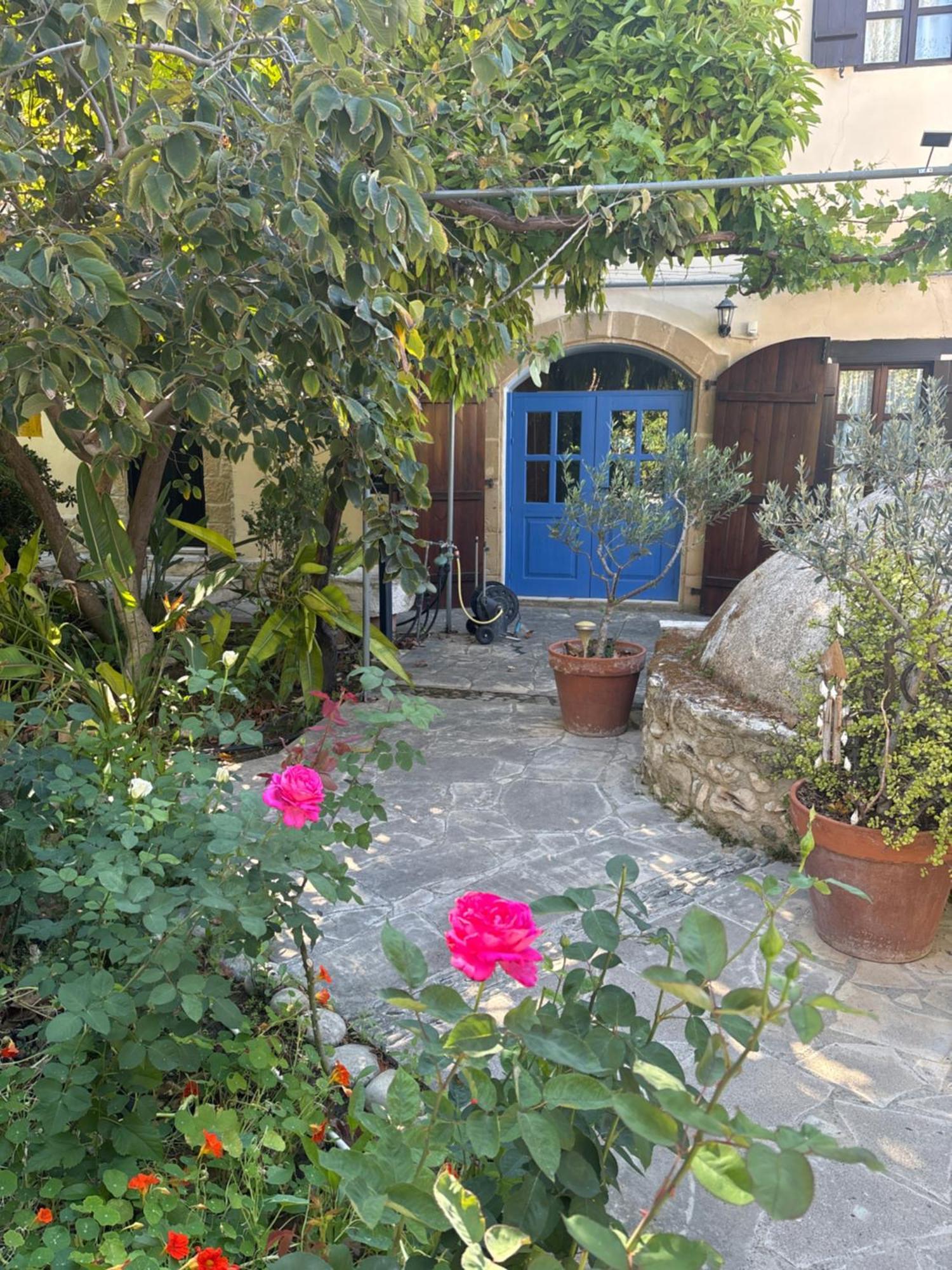 Willa Vasilion Agrotourism Polis Zewnętrze zdjęcie