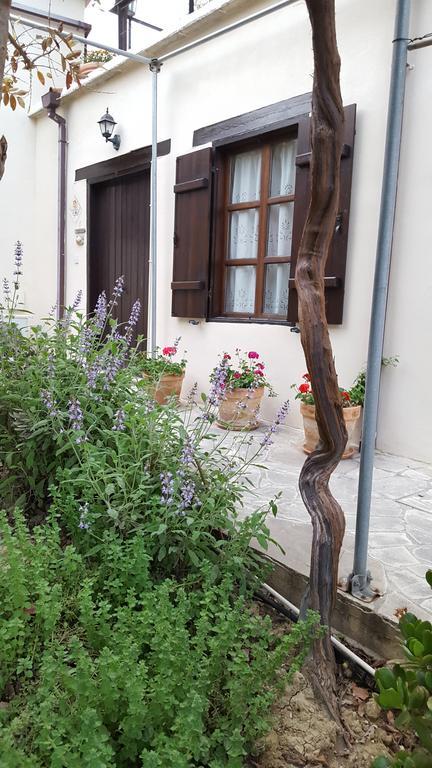 Willa Vasilion Agrotourism Polis Zewnętrze zdjęcie
