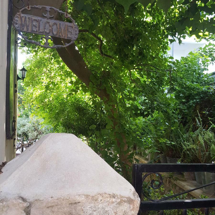 Willa Vasilion Agrotourism Polis Zewnętrze zdjęcie